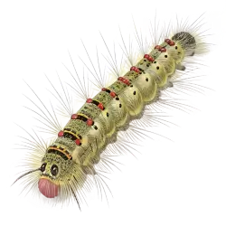 Imagen PNG para descargar